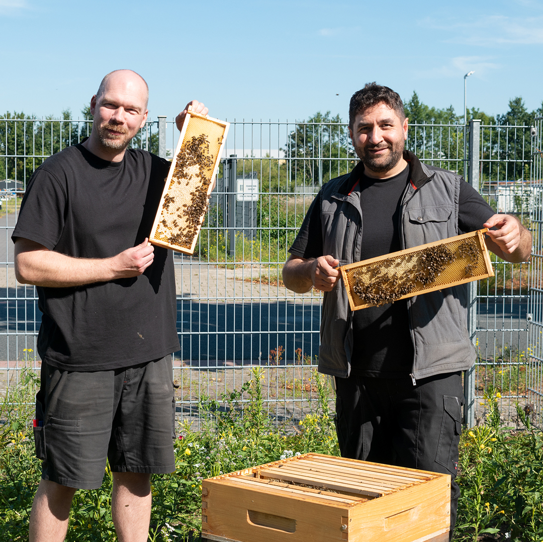 Tobias Wellbrock und Houssam Remmo zeigen die Honigwaben der terminic-Bienen bei strahlend blauem Himmel in die Kamera